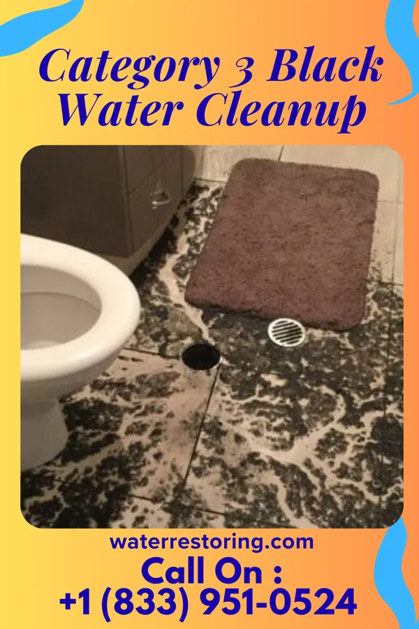 Category 3 Black Water Cleanup in Hudsonville, MI