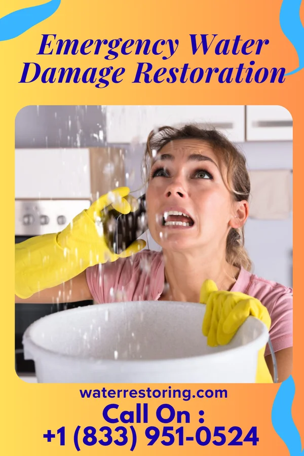 Emergency Water Damage Restoration in Hudsonville, MI
