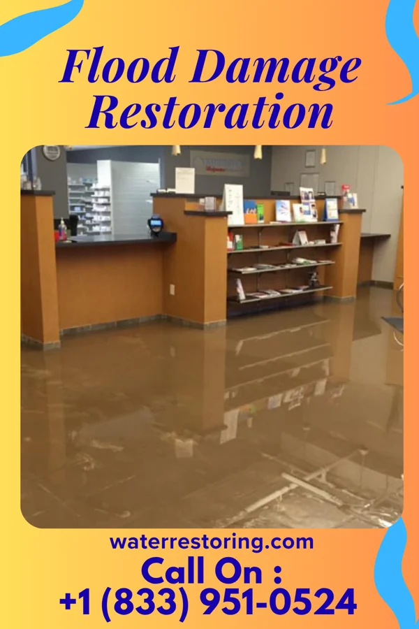 Flood Damage Restoration in Hudsonville, MI