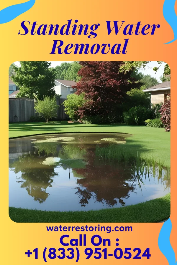 Standing Water Removal in Hudsonville, MI